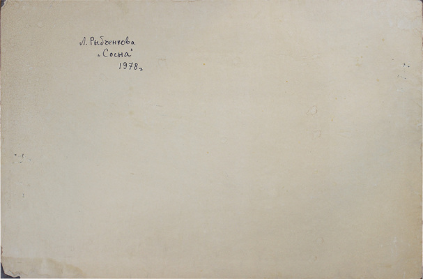 Рыбченкова Лора Борисовна. Сосна